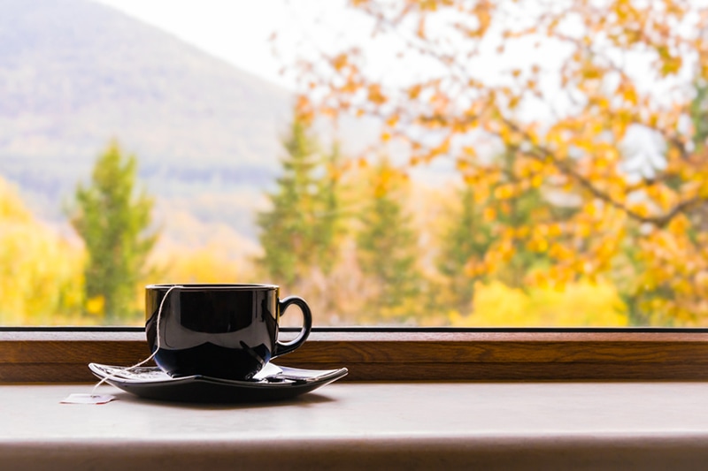 A cup of tea in front of a window with fall view.